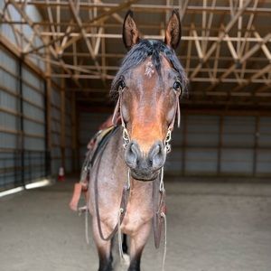 Meet your Posher, Autumn